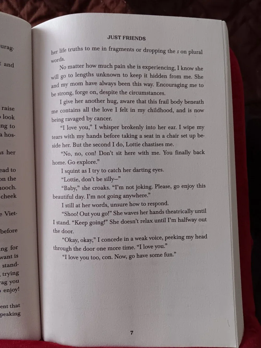 Book: Just Friends